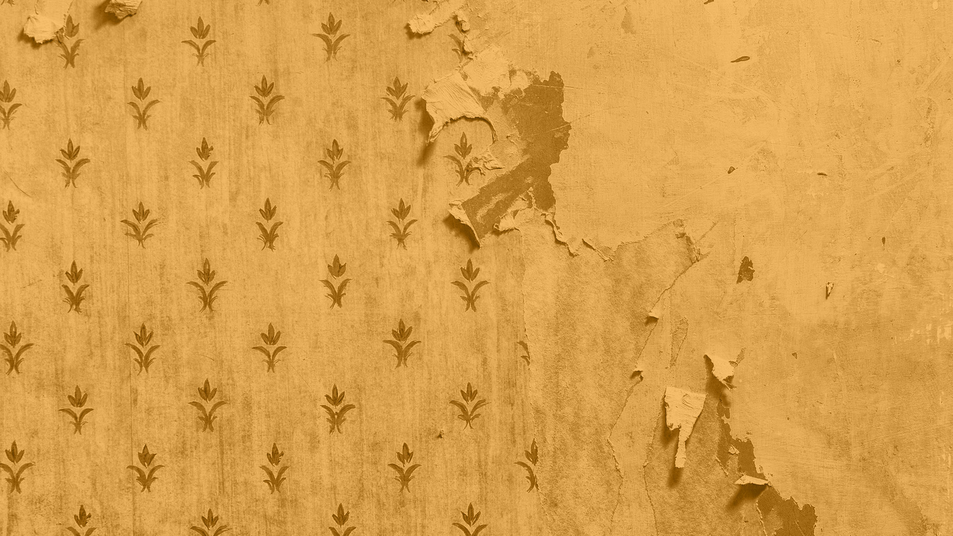 Portada de [Título del libro]